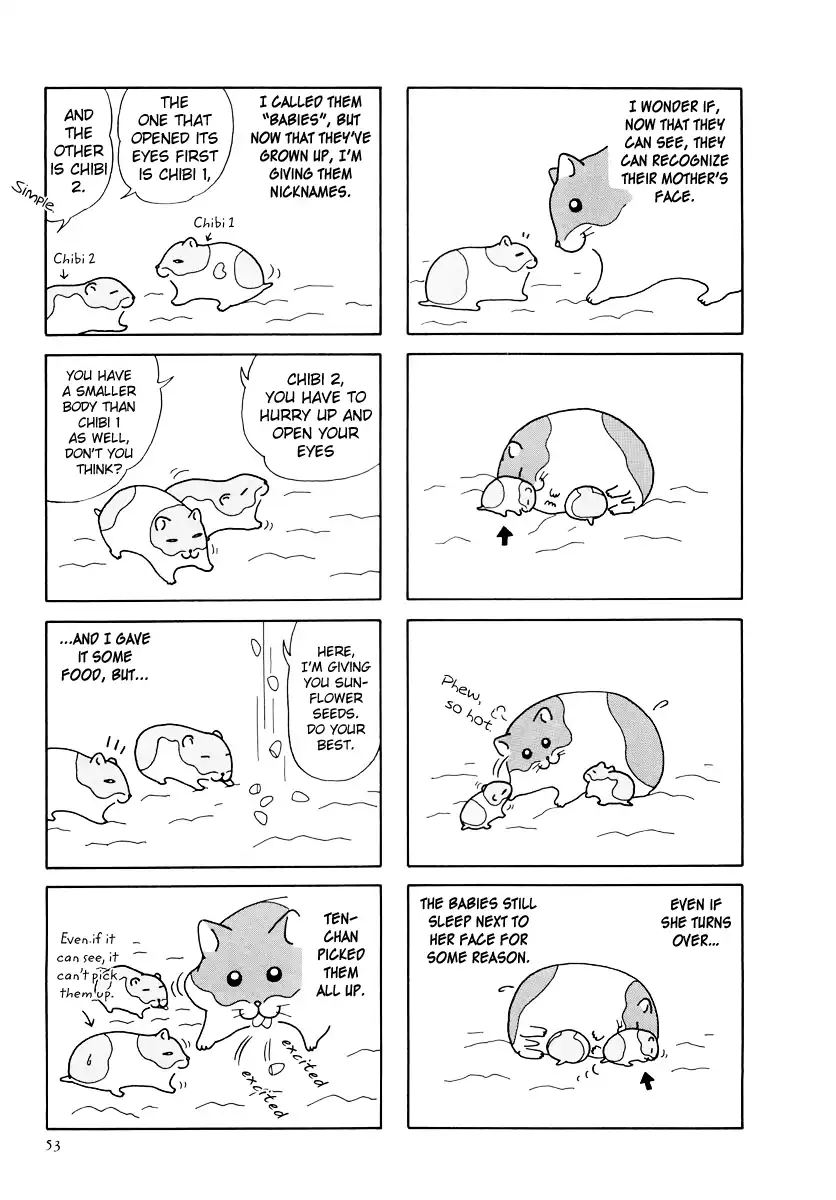 Hamster no Kenkyuu Report Chapter 25 9